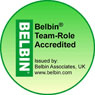 belbin logo 95